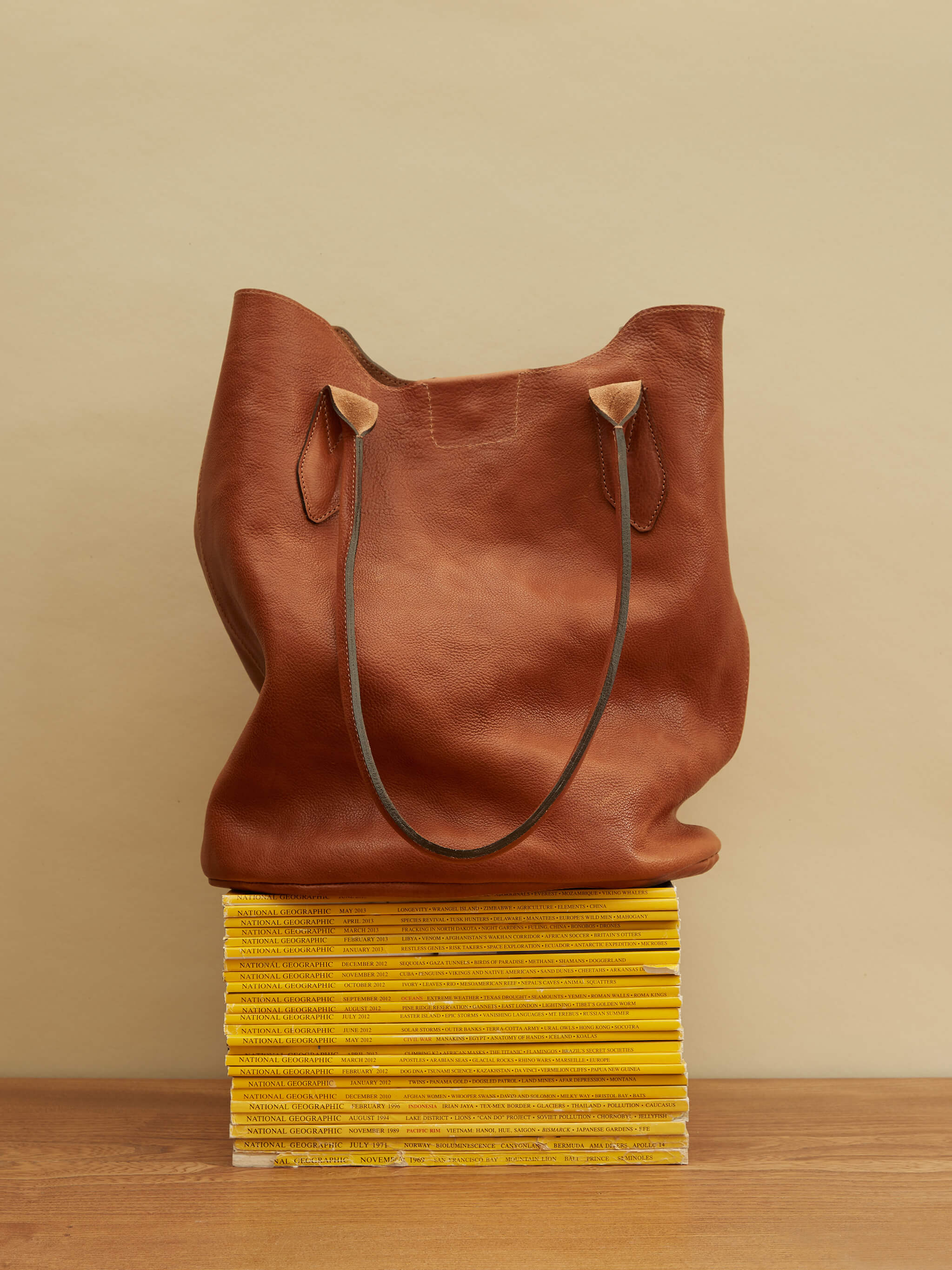 Hill Leather Tote Bag - Tan