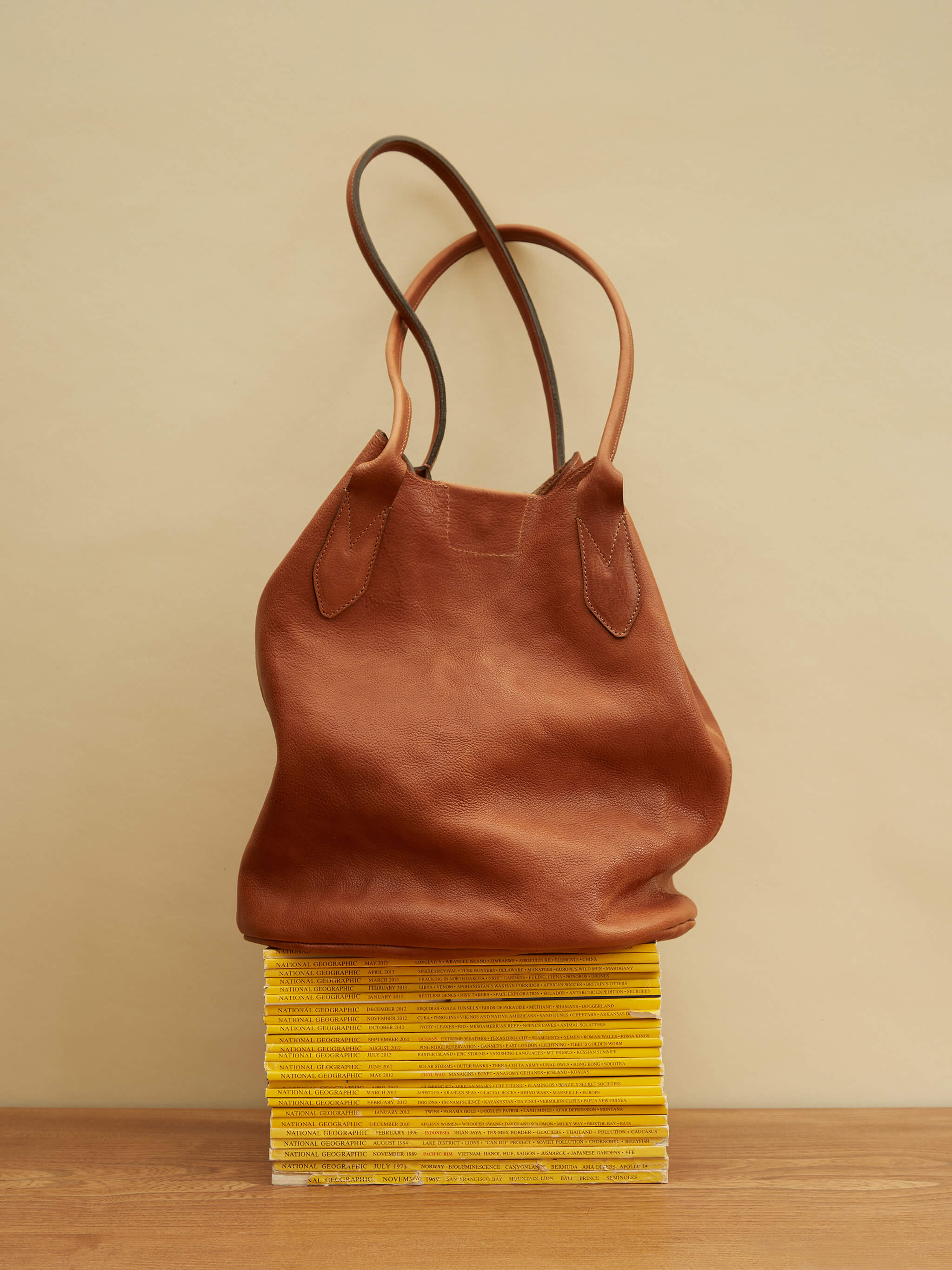 Hill Leather Tote Bag - Tan